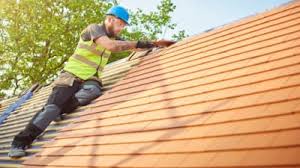Best Roof Insulation Installation  in Sesser, IL