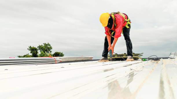 Best Roof Insulation Installation  in Sesser, IL
